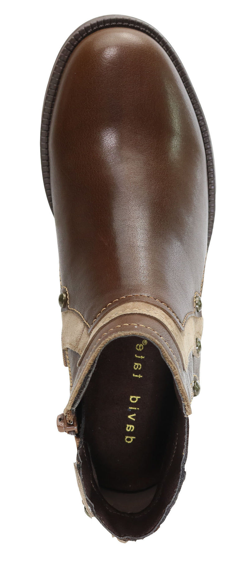 SPIKE-Brown| David Tate