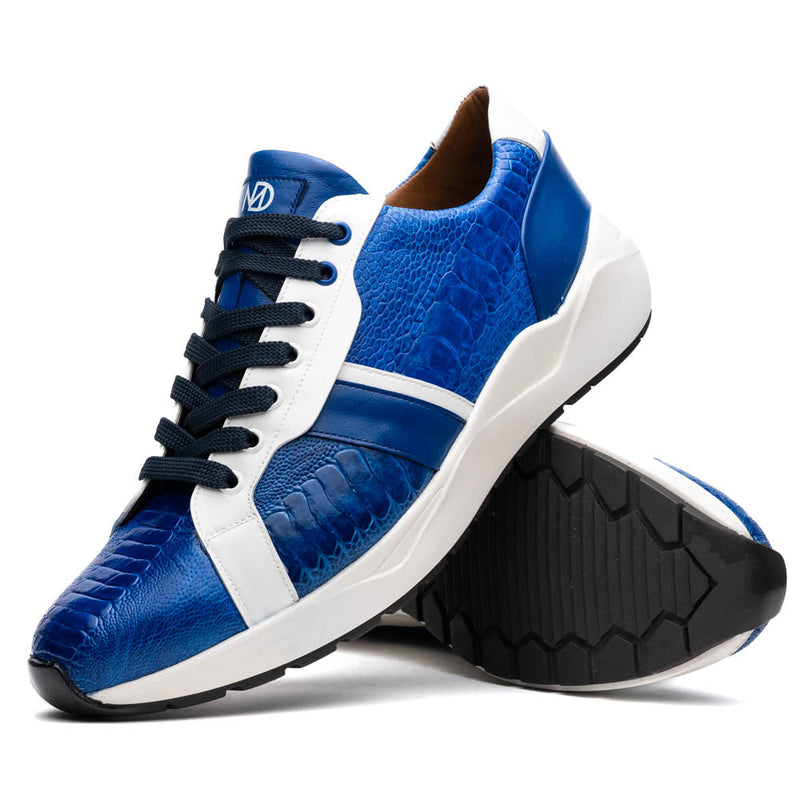 Lyon Blue / White