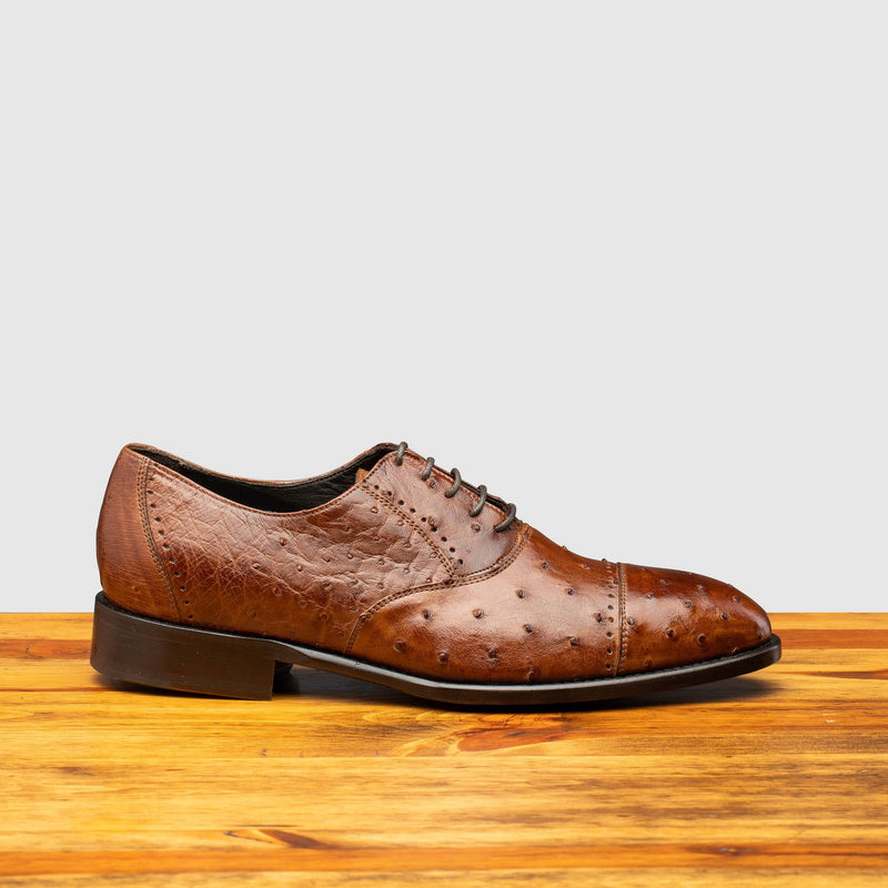 Calzoleria Toscana Ostrich Cap-Toe # H777