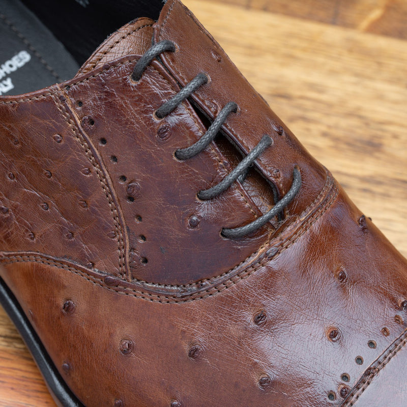 Calzoleria Toscana Ostrich Cap-Toe # H777