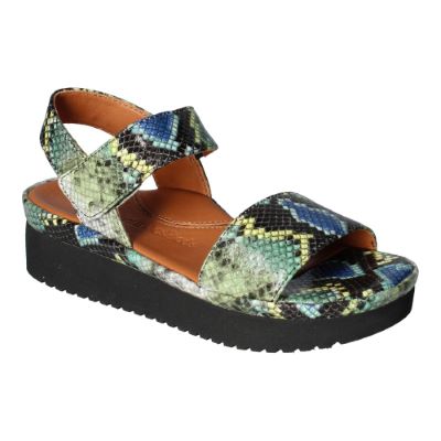 Abrilla-Green/Blue/Black Mult Snake Printi Leather | L'AMOUR DES PIEDS