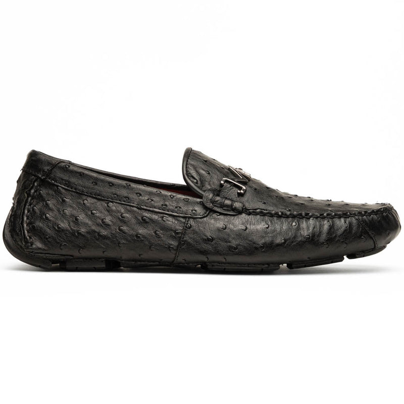 Bolonia Black