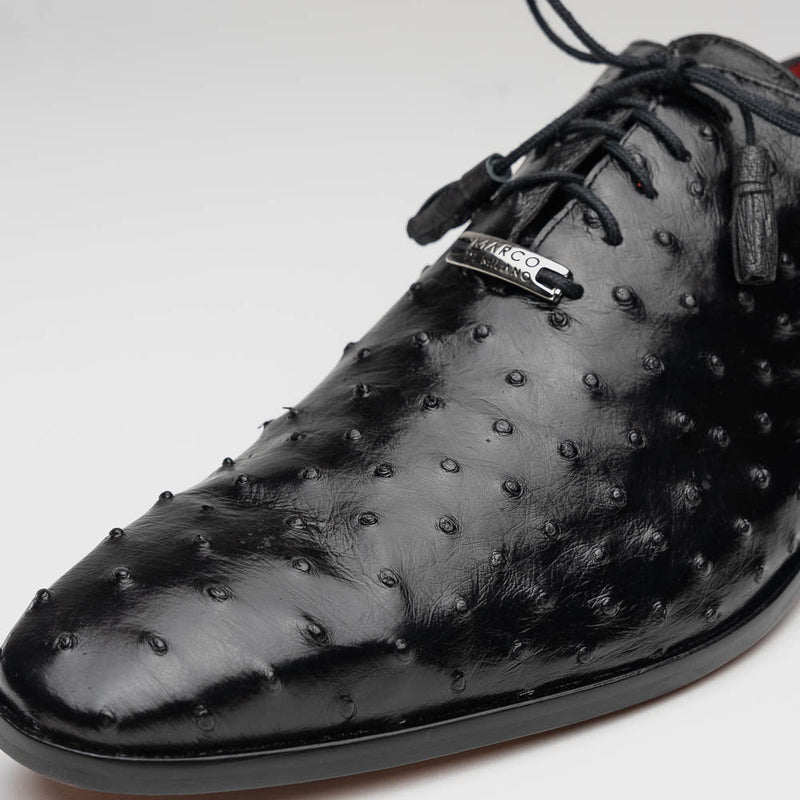 Criss Black