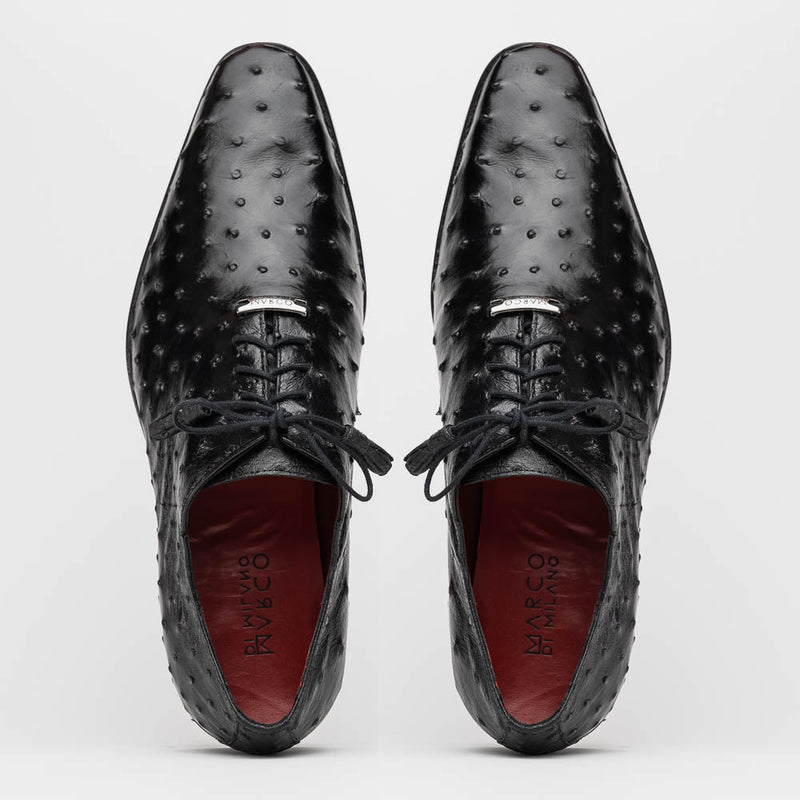 Criss Black