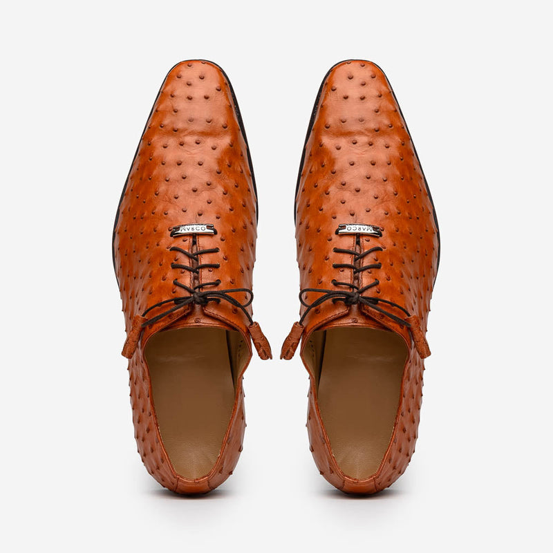 Criss  Brandy