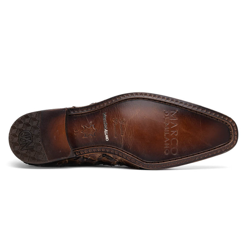 Olivieri Clear Brown
