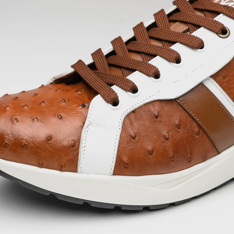 Lyon II Brandy / White