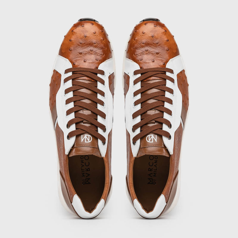 Lyon II Brandy / White