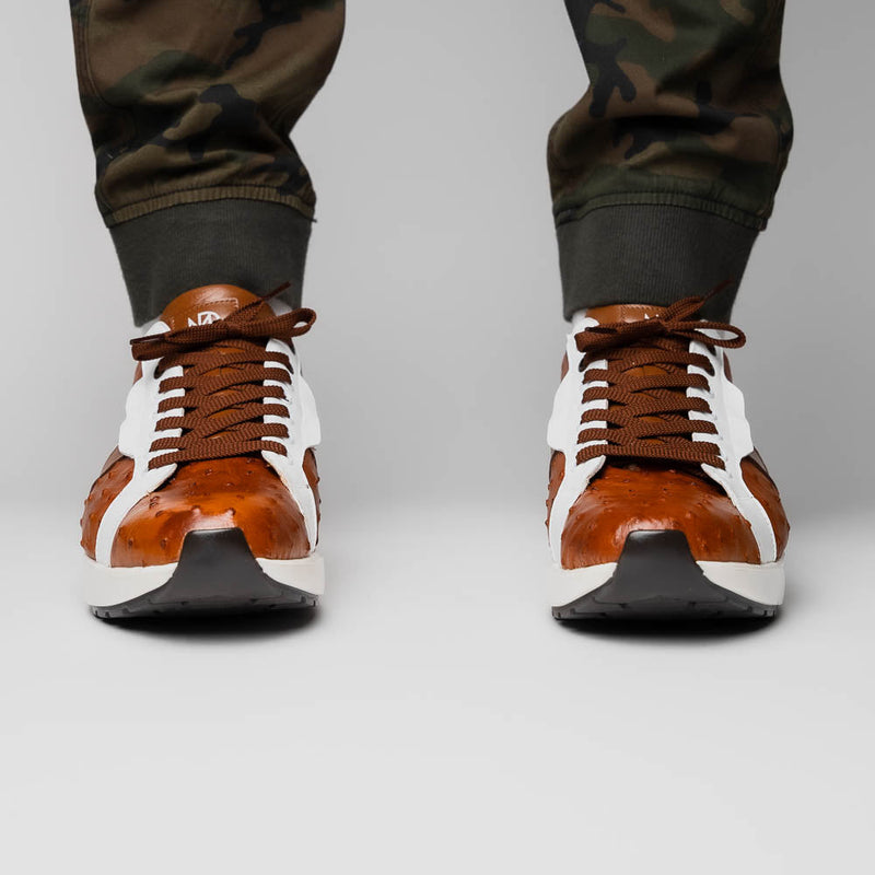 Lyon II Brandy / White
