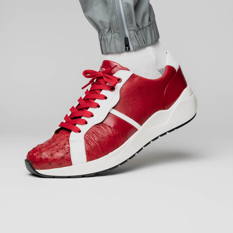 Lyon II Red / White