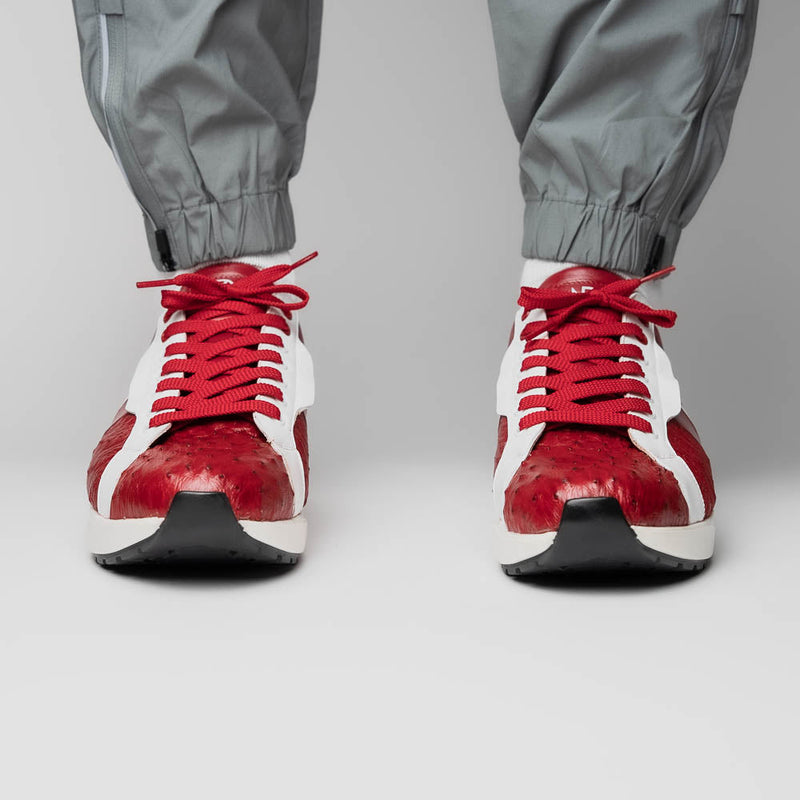 Lyon II Red / White