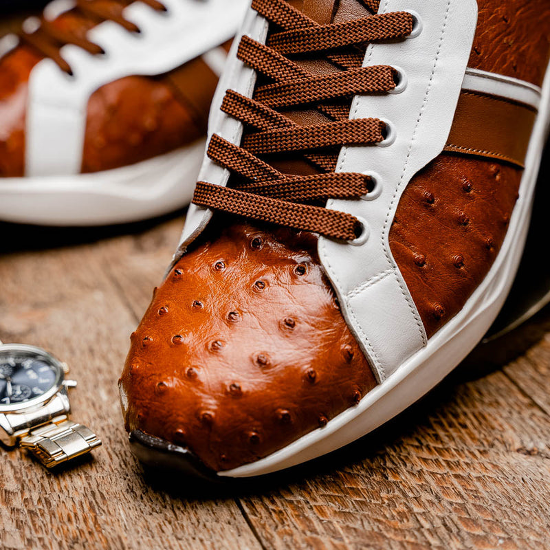 Lyon II Brandy / White