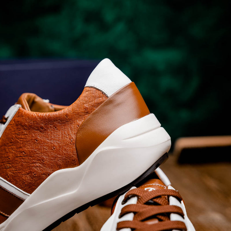 Lyon II Brandy / White