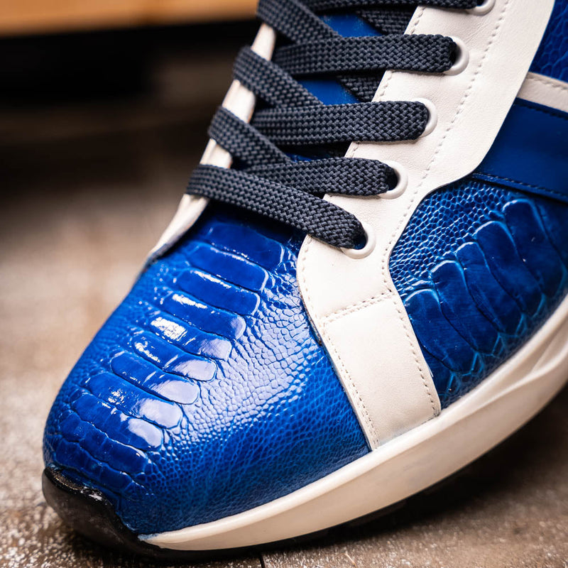 Lyon Blue / White