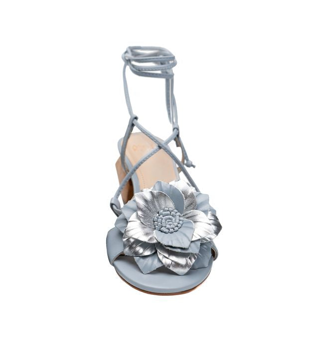 ORCHID | Ashley Kahen