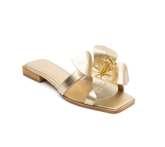 BLOSSOM | Ashley Kahen