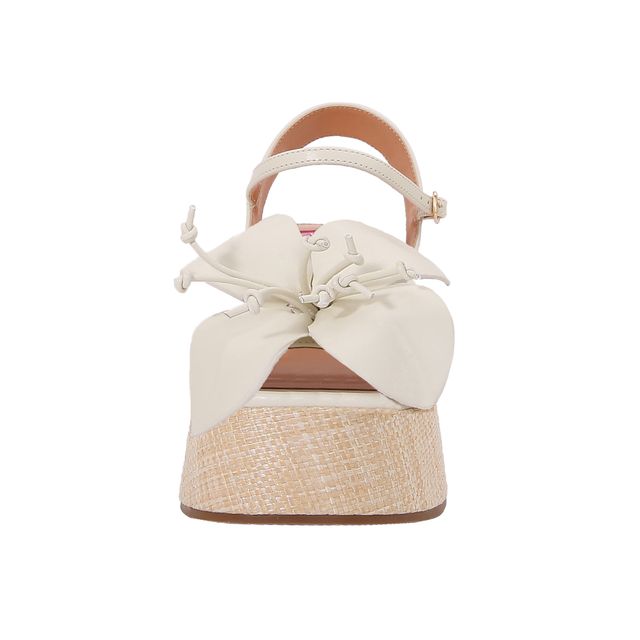 TULIP | Ashley Kahen