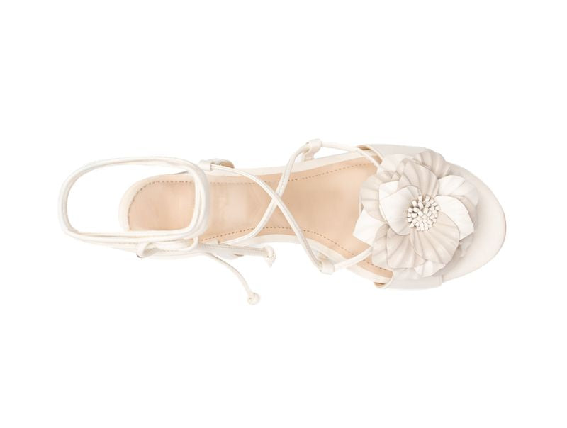 ORCHID | Ashley Kahen