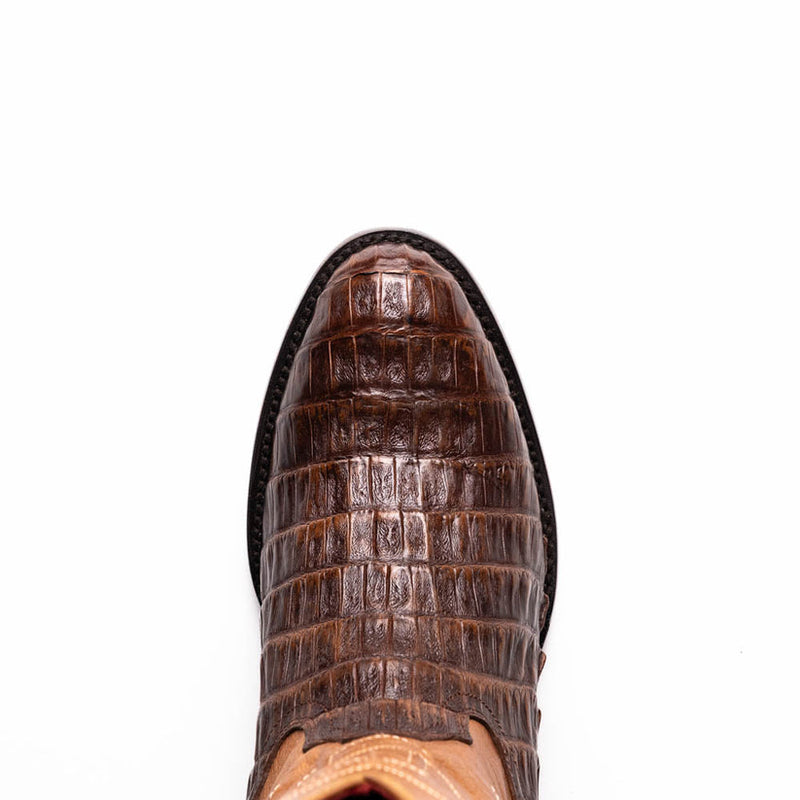 PHOENIX-AGED MAPLE | Marco Di Milano