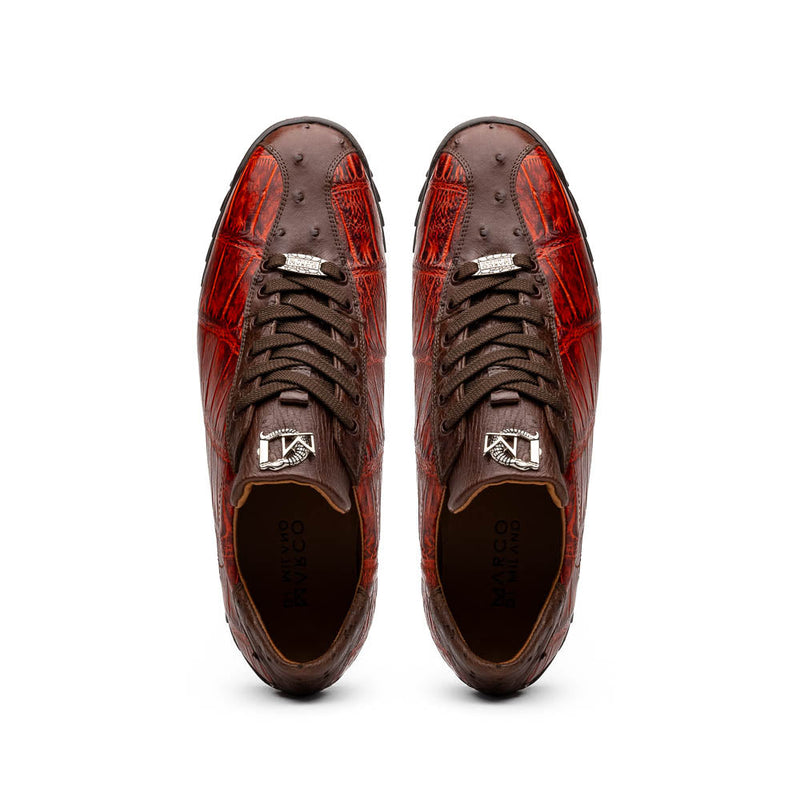 Saulo Cognac