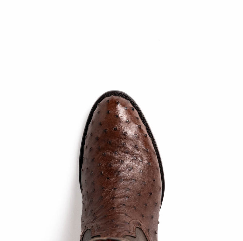 Savannah | Marco Di Milano