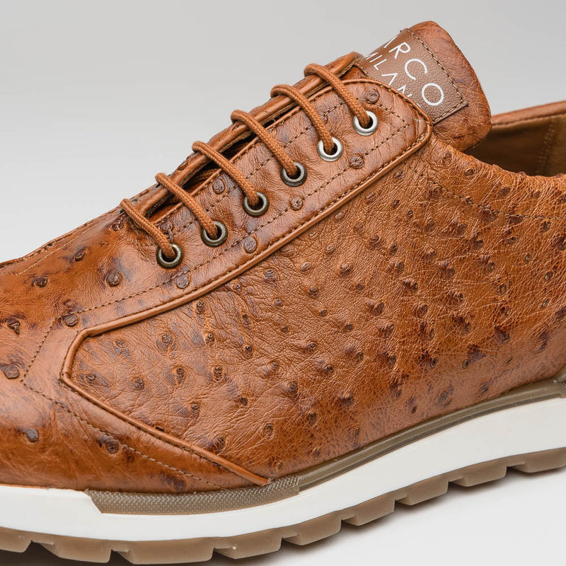 Scanno Antique Cognac