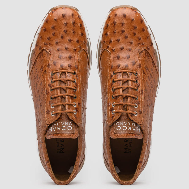 Scanno Antique Cognac